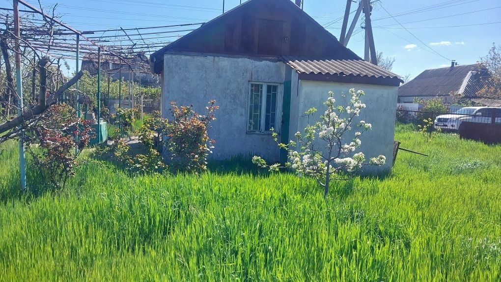 продажа дома номер H-174809 в Светлом, фото номер 9